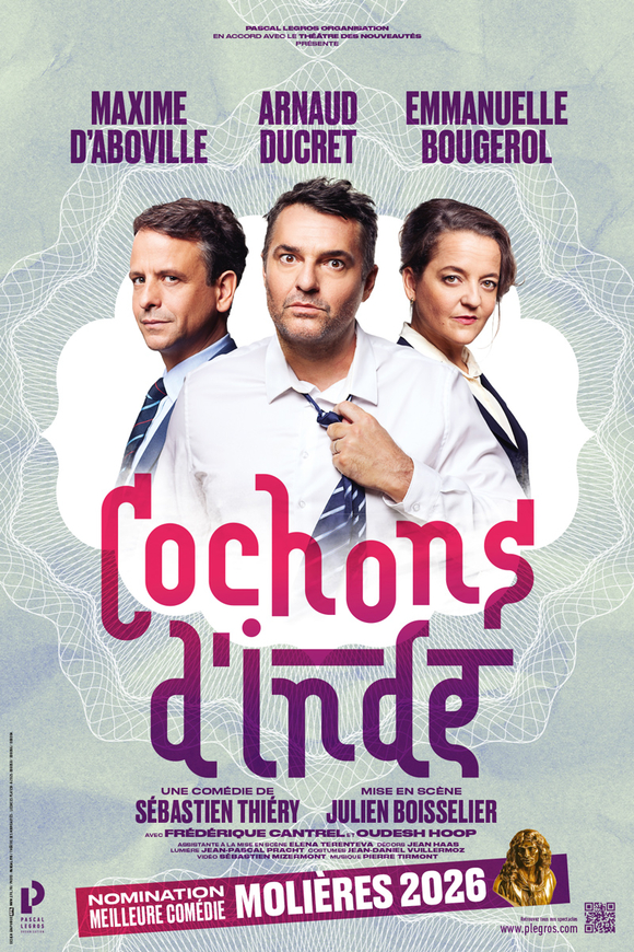 Affiche Cochons d'Inde